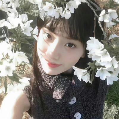 二八佳人花公子续集